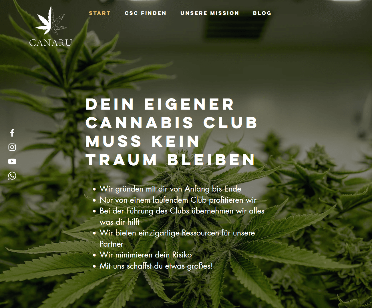 Ad Cannabuben Grow